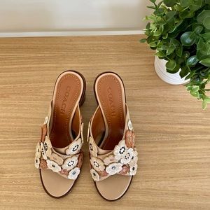 Size 6, Coach tea rose slides